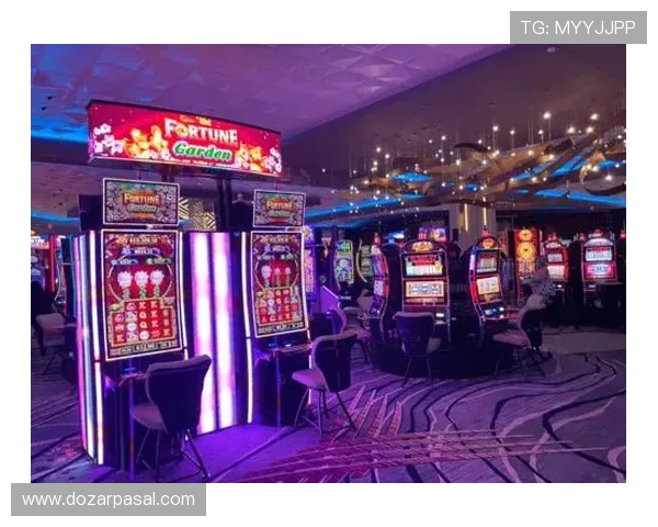 免费版老虎机游戏单机大全推荐，丰富多样的玩法让你随时随地享受刺激娱乐体验